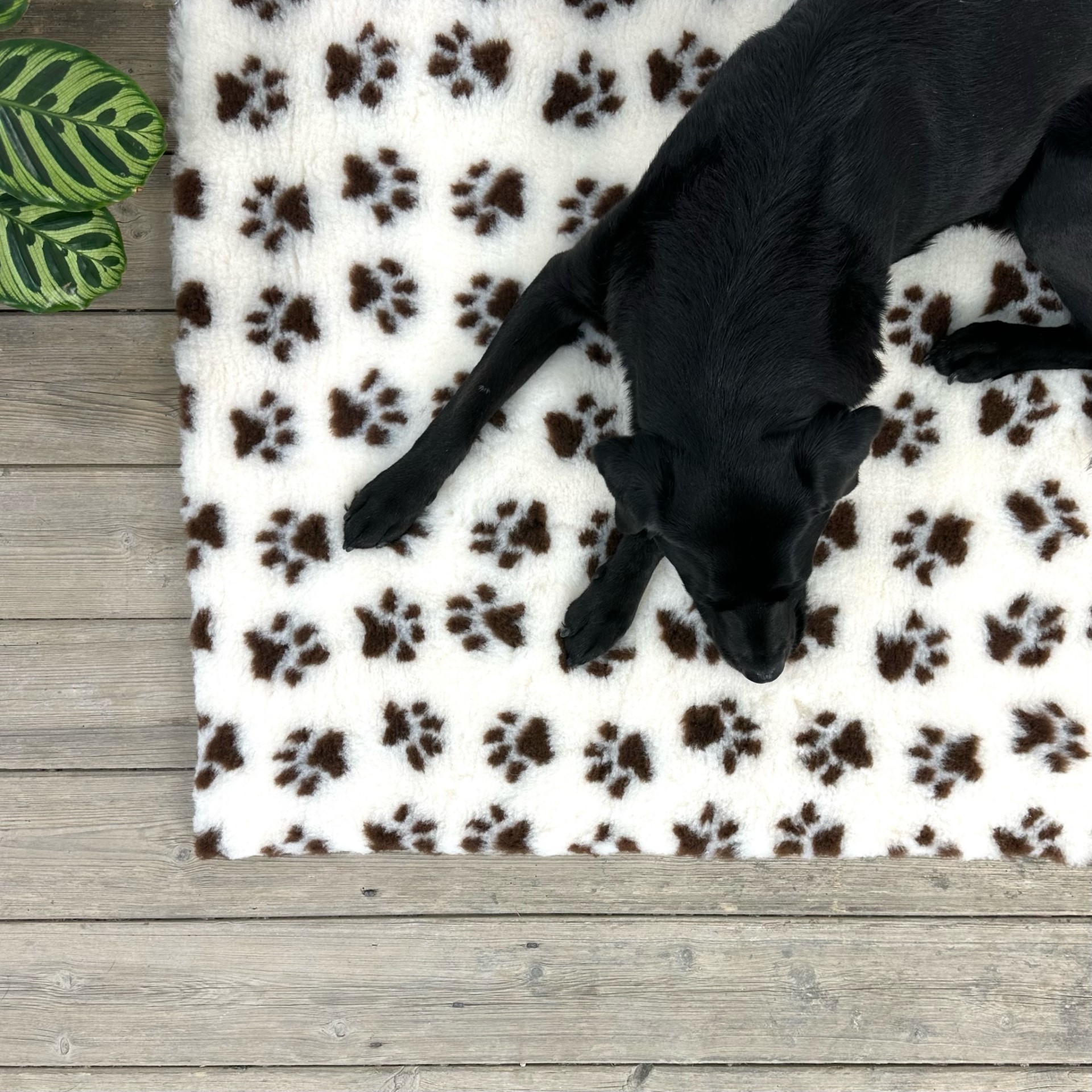 Cream with Brown chocolate Non Slip Vet Bedding. Vet bed cut in squares and rolls Vetbed sizes